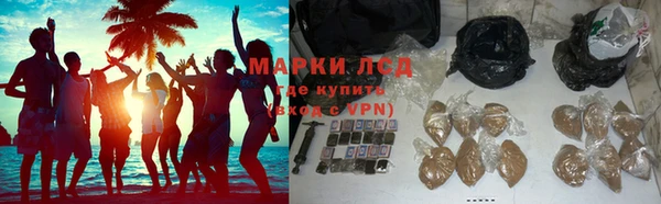 стафф Михайловск
