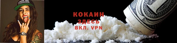 стафф Михайловск