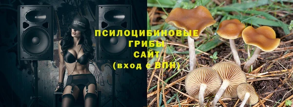 ГАЛЛЮЦИНОГЕННЫЕ ГРИБЫ Сосновоборск