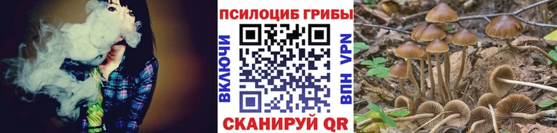 купить наркотик  Тольятти  Псилоцибиновые грибы мицелий 