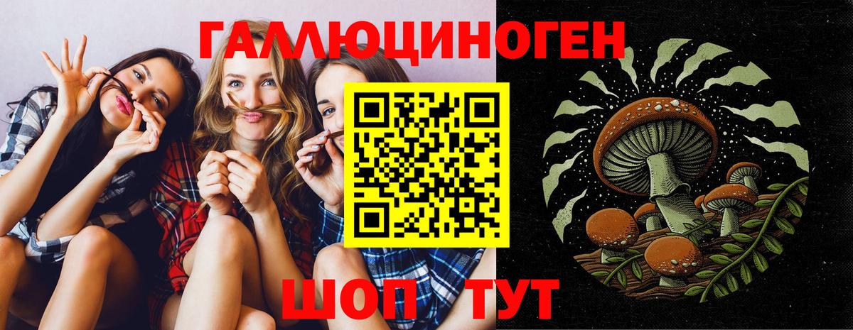 Тольятти  Галлюциногенные грибы Magic Shrooms  Вход с VPN 