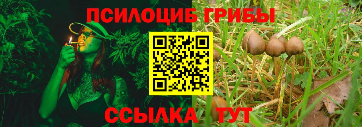 Псилоцибиновые грибы Magic Shrooms Тольятти